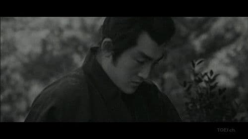 Dezessete Ninja 2: A Grande Batalha Bild 5