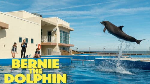Bernie der Delfin Bild 2