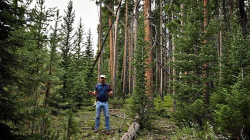 Missing 411: The U.F.O. Connection Bild 7