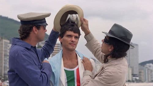 Assaltaram a Gramática Bild 1