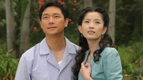 木棉花的春天 Bild 2