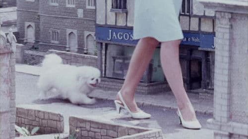 One Summer in Somerset Bild 1