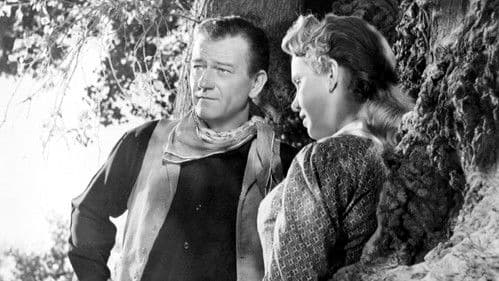 Man nennt mich Hondo Bild 3