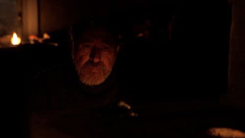 Сірі бджоли Bild 6