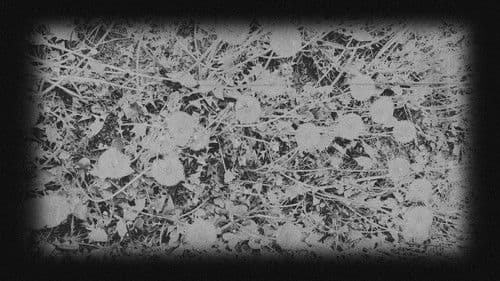 In Bloom | A Ghost Story Bild 1