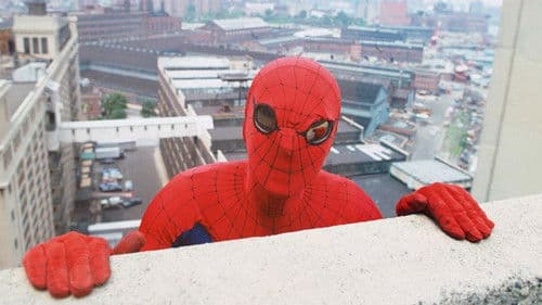 Spider-Man - Der Spinnenmensch Bild 3