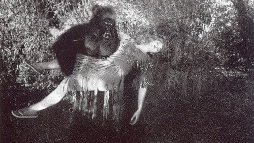 The Devil Bear Bild 1