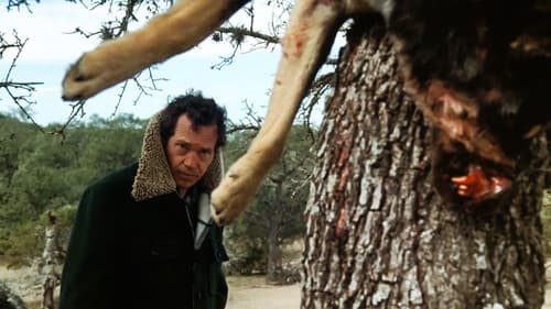 Vier im rasenden Sarg Bild 4