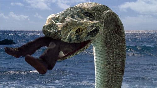 Komodo vs. Cobra Bild 2