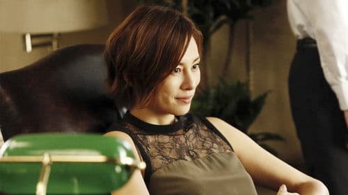 リーガルV～元弁護士・小鳥遊翔子～ Bild 1