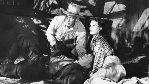 Der Vagabund von Texas Bild 7