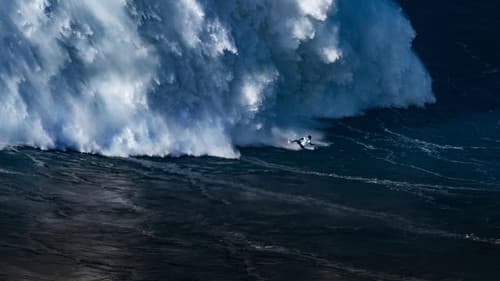100 Foot Wave Bild 1