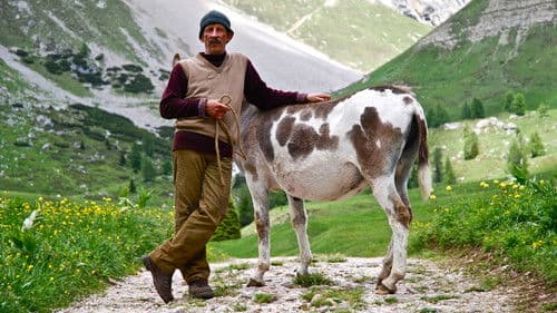 La sedia della felicità Bild 7