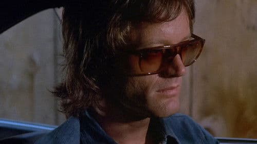 Kesse Mary - Irrer Larry Bild 4