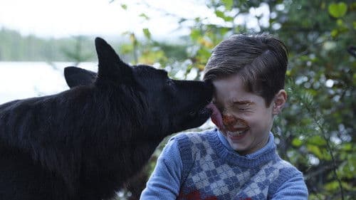 Jules au pays d’Asha Bild 3