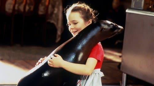 André – Die kleine Robbe Bild 1