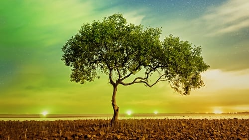 Ein perfekter Planet Bild 3