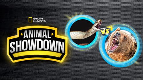 Animal Showdown Bild 2