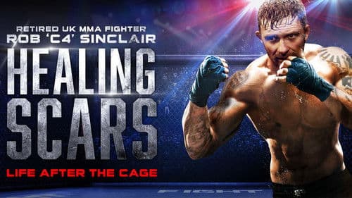 Healing Scars Bild 1