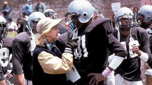 American Wildcats Bild 2