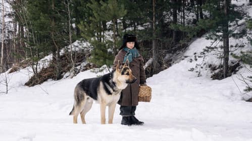 Трезорка Bild 1