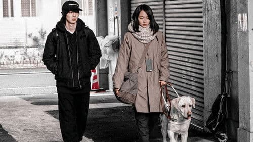 見えない目撃者 Bild 3