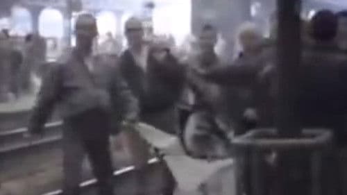 Wahrheit macht frei Bild 1