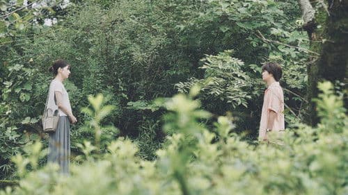 君の顔では泣けない Bild 1