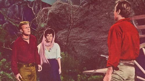 Texas Desperados Bild 1