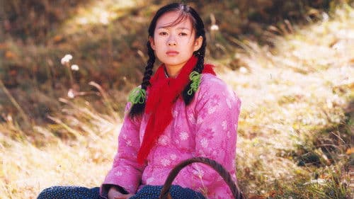 Heimweg - The Road Home Bild 4