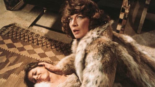 Stone Cold Dead Bild 2