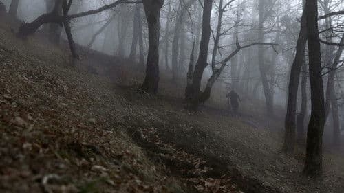 Nothing to be Afraid of Bild 3