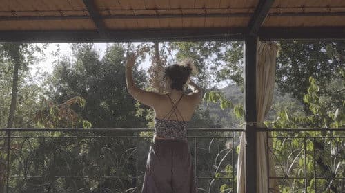 The cats, the sea, and everything in between. Bild 2