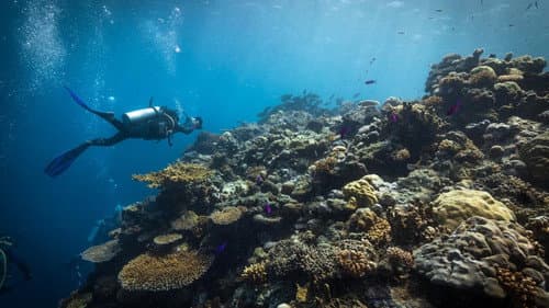 Die Karte zum Paradies Bild 8