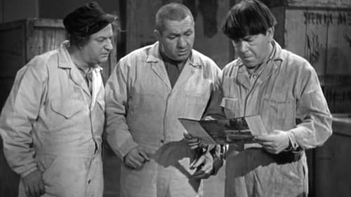 Monkey Businessmen Bild 2