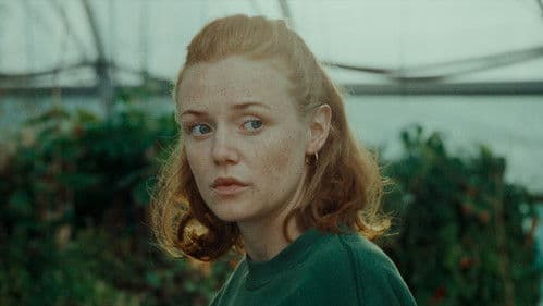 Der Venuseffekt Bild 8