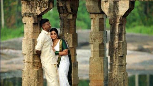 கட்ஸ் Bild 3