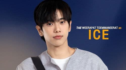 The Love Never Sets Bild 8