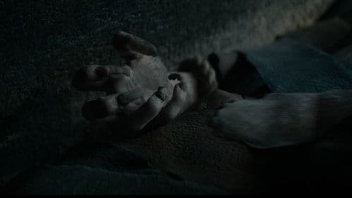 Lee Cronin's The Mummy Bild 7