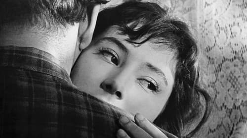 Wenn die Kraniche ziehen Bild 3