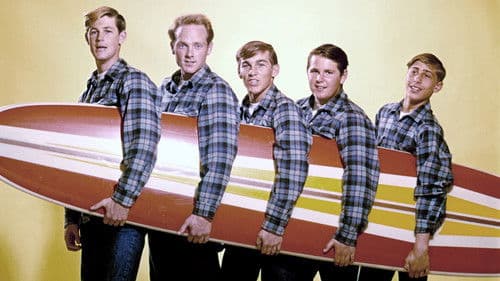 The Beach Boys: Live At Knebworth Bild 1