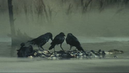 赤い手裏剣 Bild 3