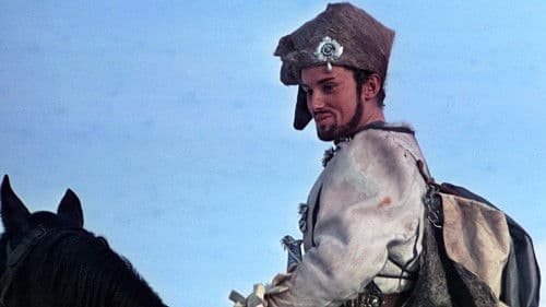 Leben, Liebe und Tod des Obersten Wolodyjowski Bild 4