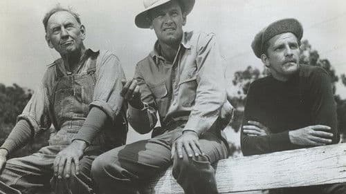 Tommy macht das Rennen Bild 1