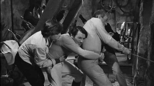 Podróż za jeden uśmiech Bild 3