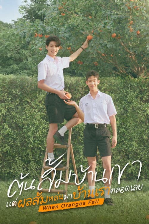 ต้นส้มบ้านเขา แต่ผลส้มหล่นมาบ้านเราตลอดเลย