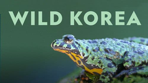 Wild Korea Bild 3