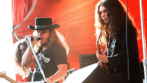 Lynyrd Skynyrd: Live at Knebworth '76 Bild 3