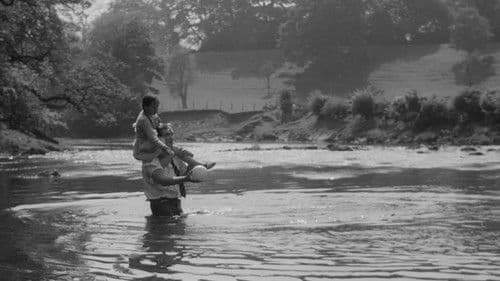 Lockender Lorbeer Bild 6