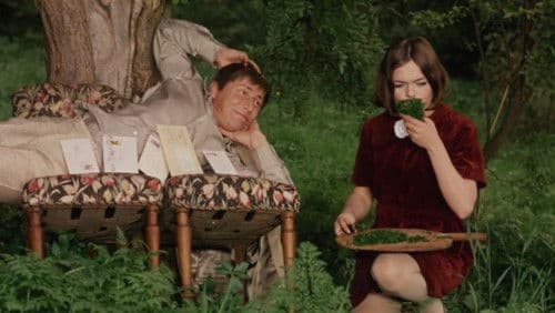 Ovoce stromů rajských jíme Bild 8